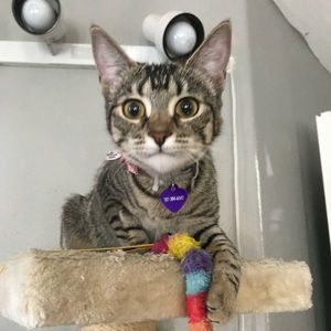 Meet your Posher, Venessa